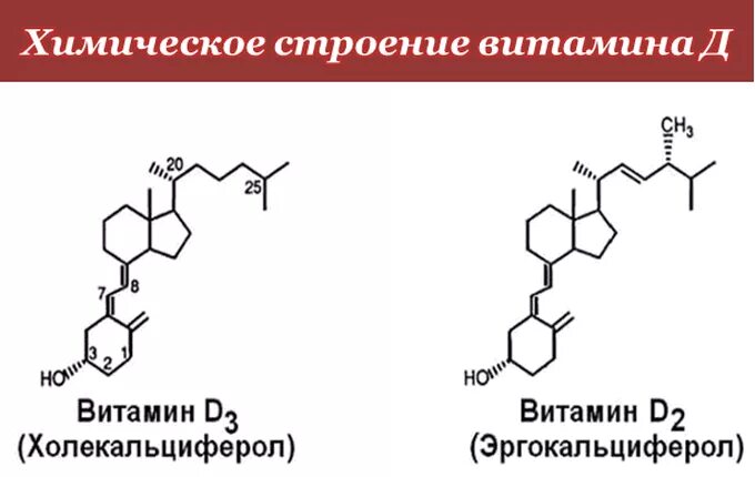 Витамин д2 и д3. Строение молекулы витамина д. Структура витамина д3. Витамин д3 структурная формула. Витамин д структурная формула.