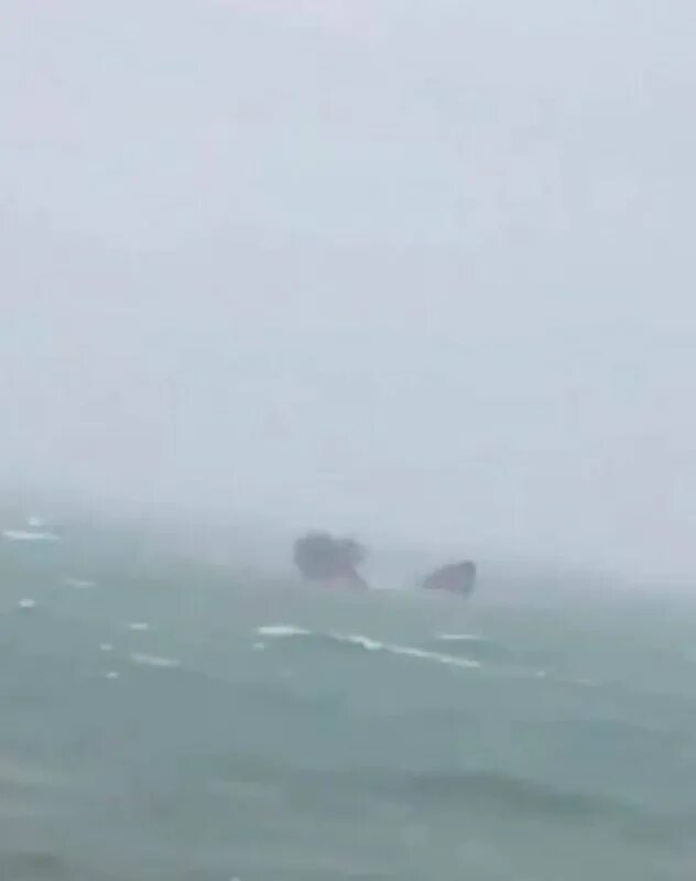 Крушение судна арвин в черном море. В джубге перевернулся катамаран с людьми. Сухогруз arvin крушение. Затонувшие корабли в черном море. Крушение судна арвин в черном море.