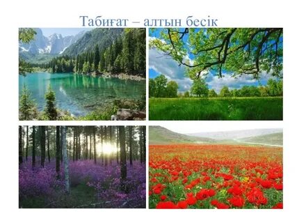 Бұл қолжетімді емес порно фото ұрланған құрылғылардан.