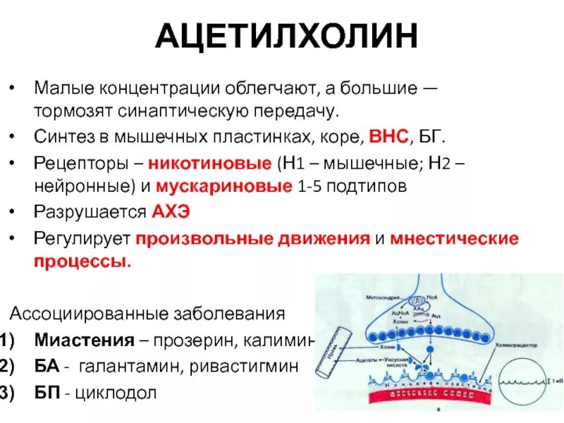 Мускариновые рецепторы ацетилхолина. Никотиновые ацетилхолиновые рецепторы. Никотиновые и мускариновые рецепторы ацетилхолина. Ацетилхолин строение.