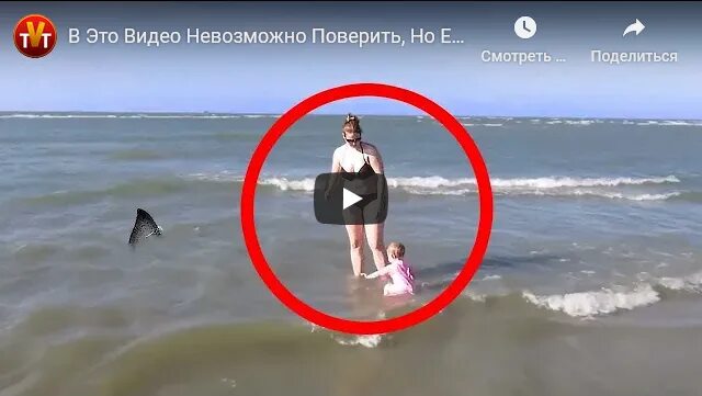 Невероятно невозможно поверить. Картинки в которые невозможно поверить. если бы это не засняли на камеру никто бы не поверил. существование которых невозможно поверить. пугающие фотографии в которых невозможно поверить.