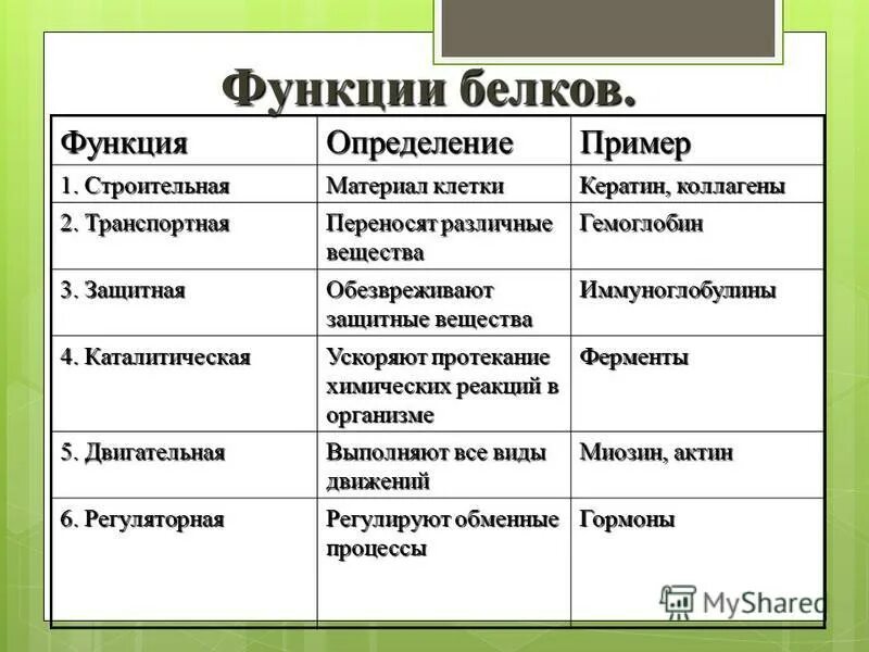 Список функций белков. Функции белков 10 класс биология. Строение и функции белков биология. Таблица по биологии функции белков. Функции белков с примерами таблица.