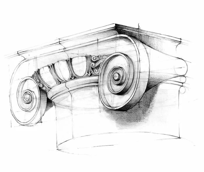 Капитель Ионического ордера гипс. Ионическая Капитель построение. Ионическая Капитель построение Академический рисунок. Ионическая Капитель отмывка.
