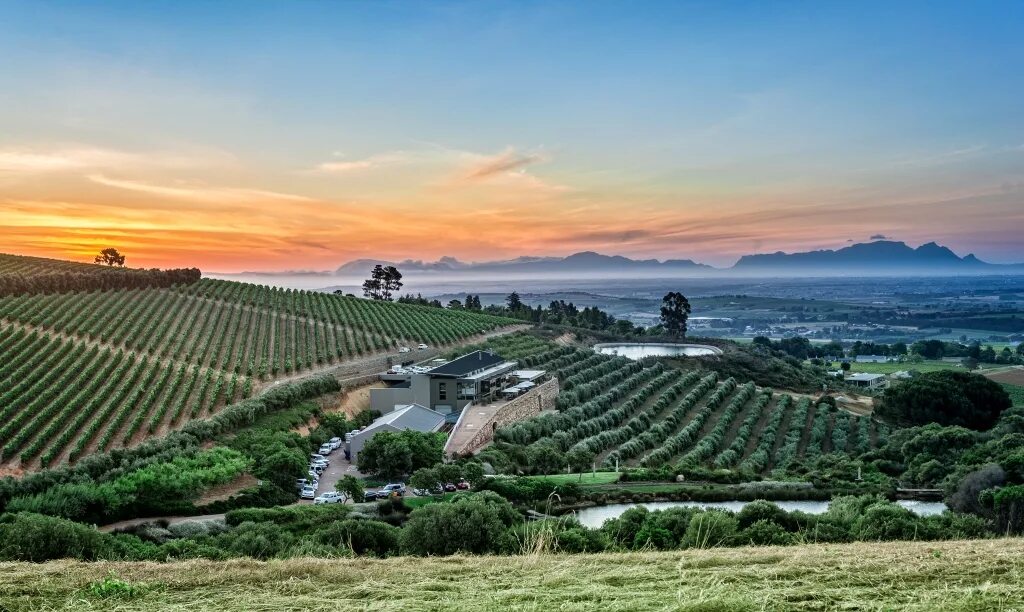 Винодельни юар. Кейптаун виноградники. Wine land юар. Винодельни юар. Западный кейп юар виноградники.