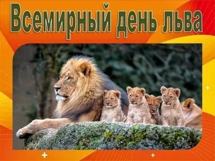 Лев последний день