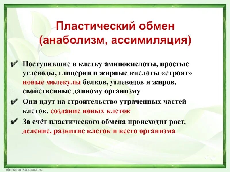 Обмен веществ пластический обмен биосинтез белков. Процесс это совокупность. Пластический обмен промеры. Биосинтез белков ассимиляция. Превращение энергии в пластическом обмене.