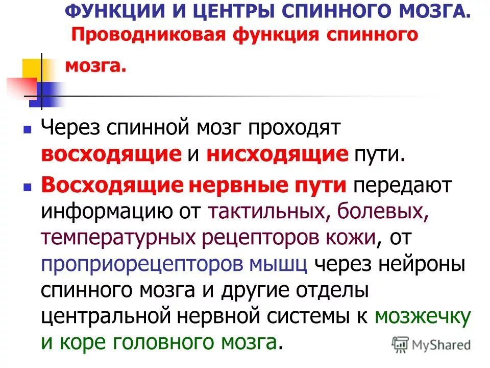 Восходящие пути спинного мозга таблица функции. Нисходящие пути спинного мозга функции. Нисходящие пути спинного мозга функции. Нисходящие пути спинного мозга. Основные функции проводящих путей спинного мозга таблица.