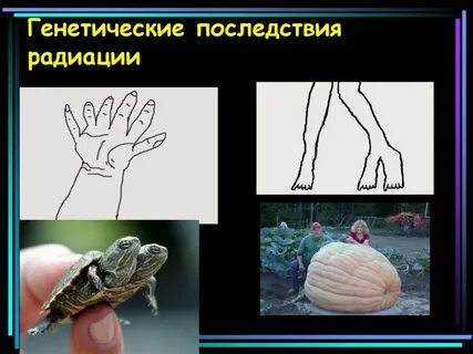 Радиоактивные последствия