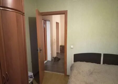 Авито купавна