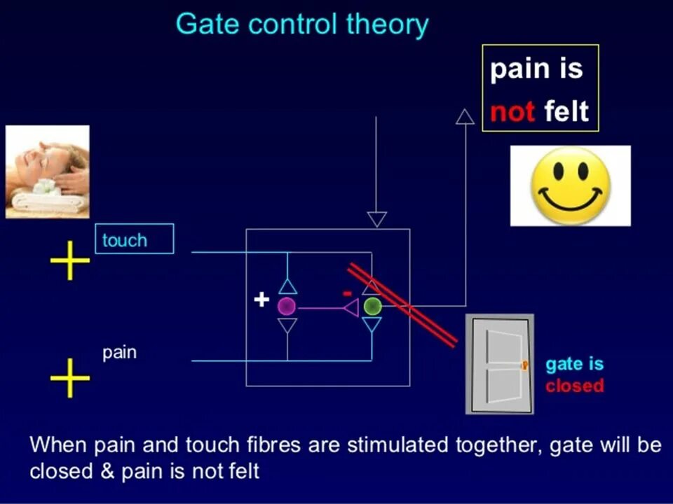 Control theory. Gate control theory of pain. теория контроля ворот. theory of everything управление. локальная сигнальная сенсорная панель haass.