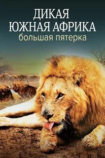 Дикие животные документальный