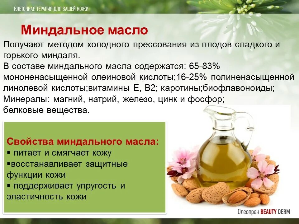 Миндальное масло полезные. Миндальное масло свойства. Чем полезно миндальное масло. Растительные масла в косметике. Применение масел в косметике