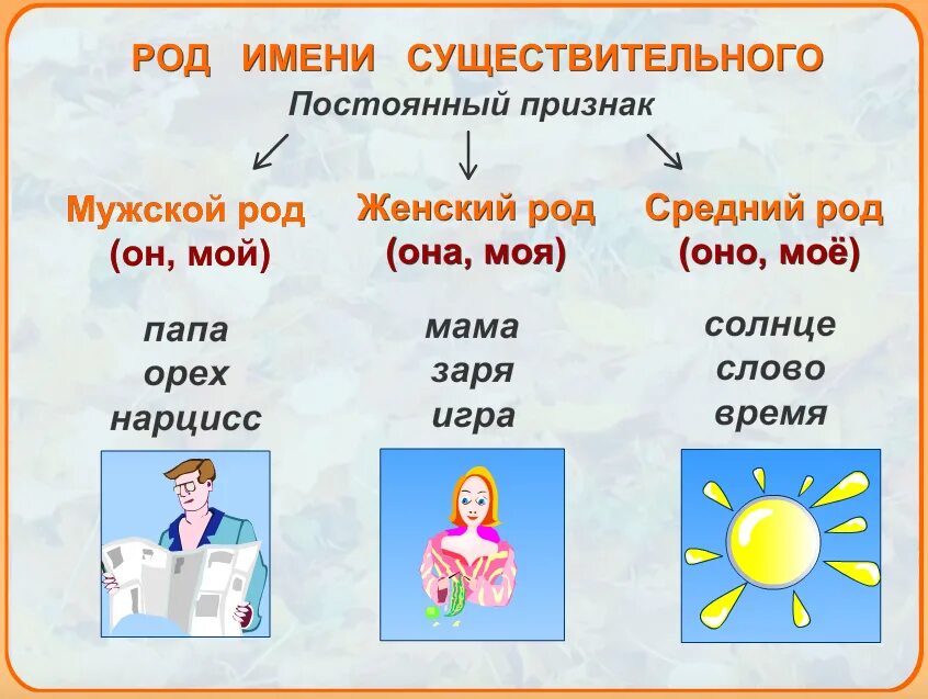 Существительные названия людей. Как определить род имен существительных 3 класс. Род имен существительных в русском языке определяется. Правило определения рода имен существительных в русском языке. Мужской средний женский род имен существительных 2 класс.