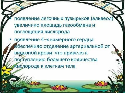 Появиться появление