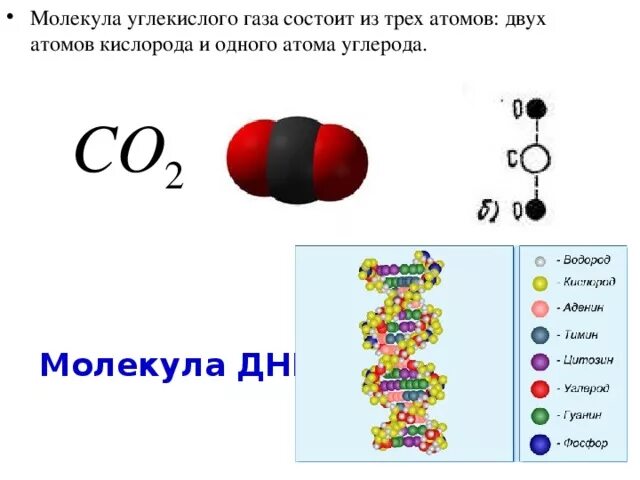 Состоит из 2 атомов кислорода. Атомное строение углекислого газа. Схема молекулы углекислого газа. Молекула углекислого газа 7 класс физика. Строение молекулы углекислого газа газа.