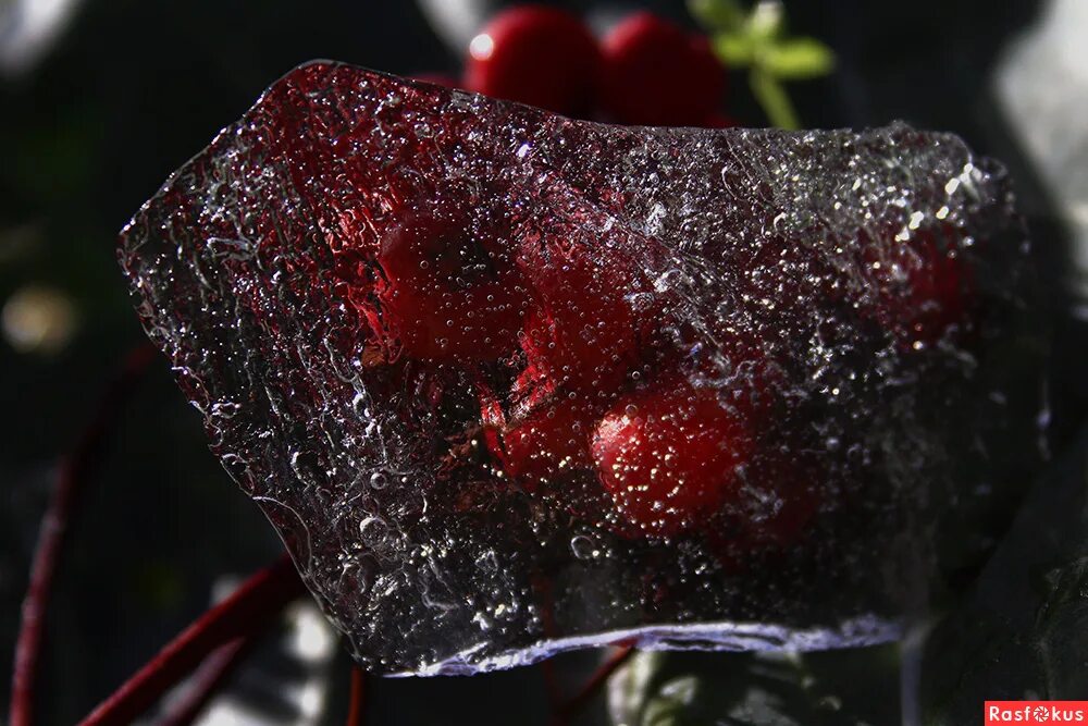 кровавый водопад в антарктиде фото. красный лед. замерзшее сердце. разбитое стекло заставки на рабочий стол 4к. красный ледяной.