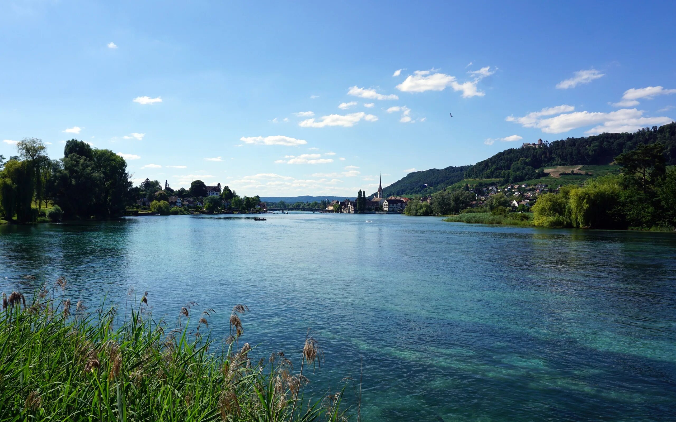Исток реки рейн. Рейн Швейцария. Река Рейн в Швейцарии. Швейцария реки аре, Рейн, Лиммат, Рона..