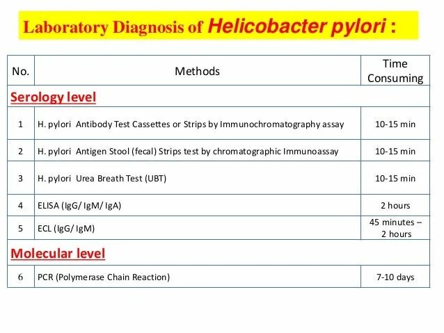 Helicobacter pylori igm. Хеликобактер пилори анализ крови норма и расшифровка результатов. Антител к helicobacter pylori iga. Антитела на хеликобактер 7. Iga хеликобактер пилори положительный.