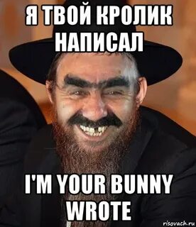 You bunny wrote