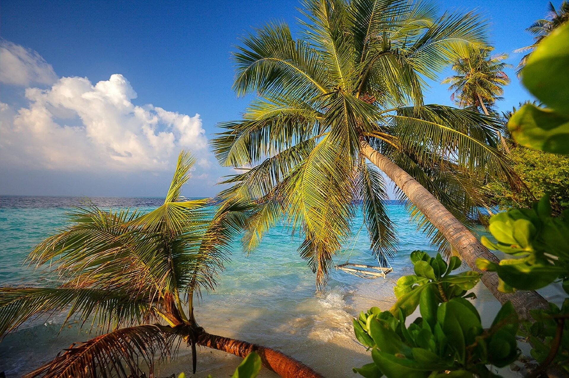 Пальмы и океан. Шри Ланка океан пальмы. Кокосовые пальмы на Мальдивах. Индийский океан Мальдивы.