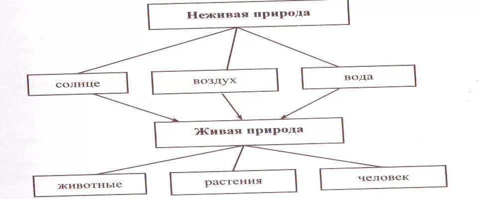 Природные связи между объектами