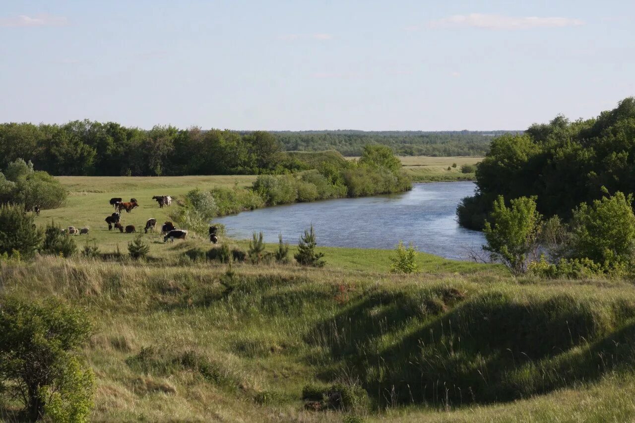 Родной край курган. Курганская область пейзажи природы курганская область. Природа зауралья курганская область. Слуцкая равнина. Курганская область осень природа.