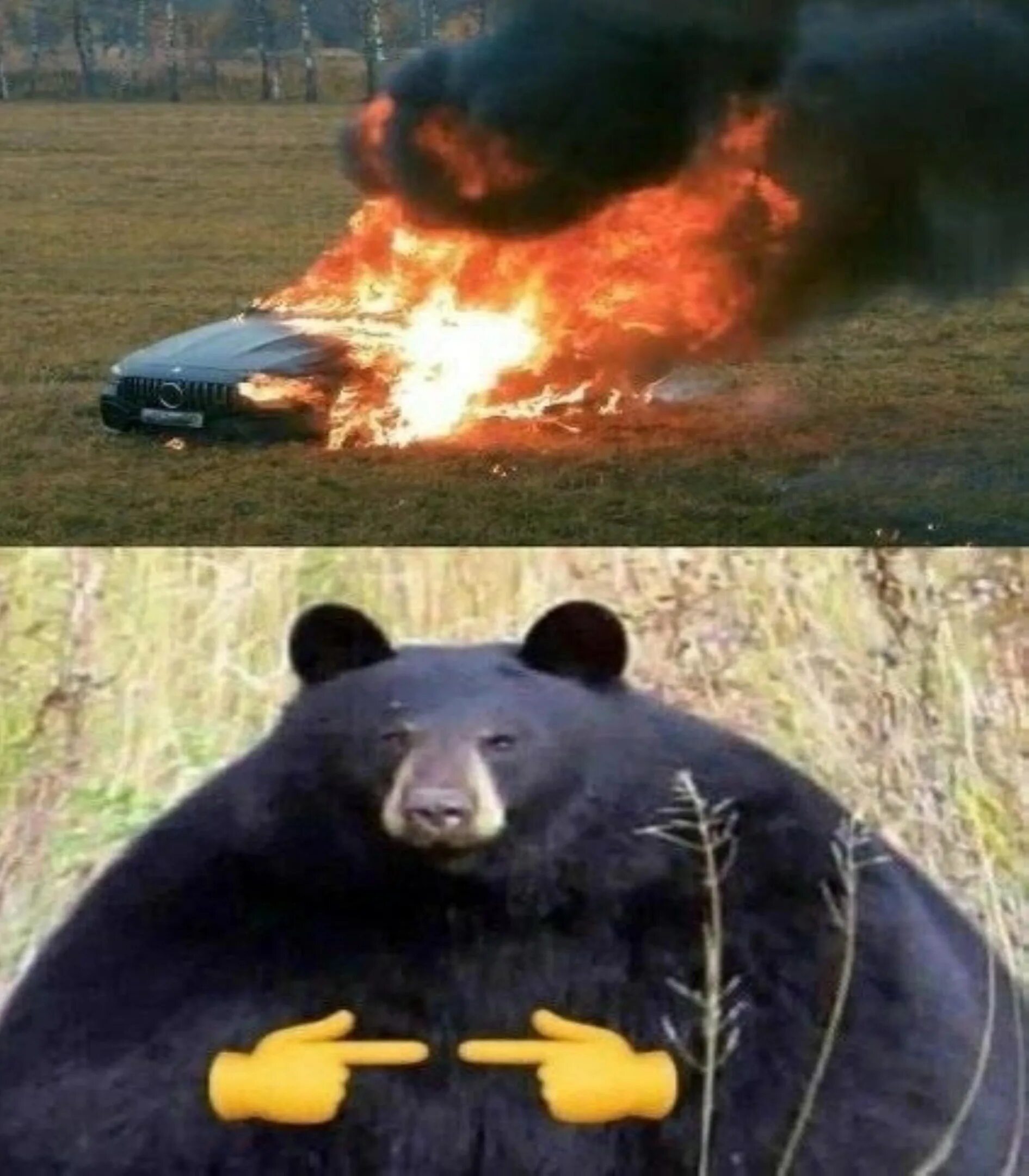 Идет медведь видит машина горит. Медведь горит в машине Мем. Медведь сел в машину и сгорел. Шутка про медведя и горящую машину. Медведь Мем.