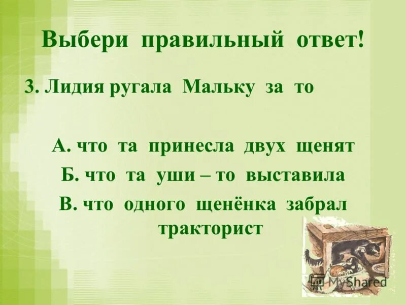 Главная мысль произведения о мальке. Малька провинилась. Рассказ про мальку.