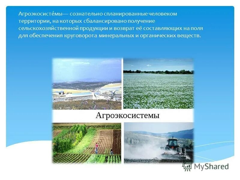 пищевая цепь агроценоза. круговорот веществ в растении. незамкнутый круговорот веществ картофельное поле луг. видовое разнообразие агробиоценоза. экосистема луга презентация.
