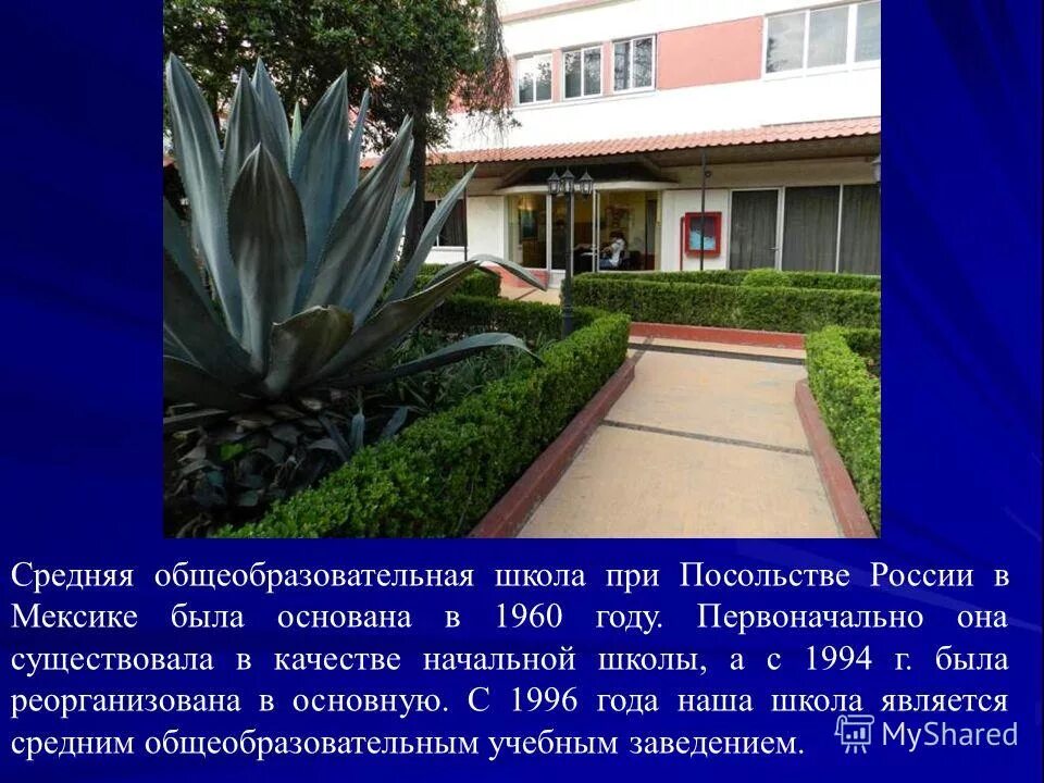 Посольство россии в мексике. Школа при посольстве России в Мексике. Русское посольство в Мексике школа.