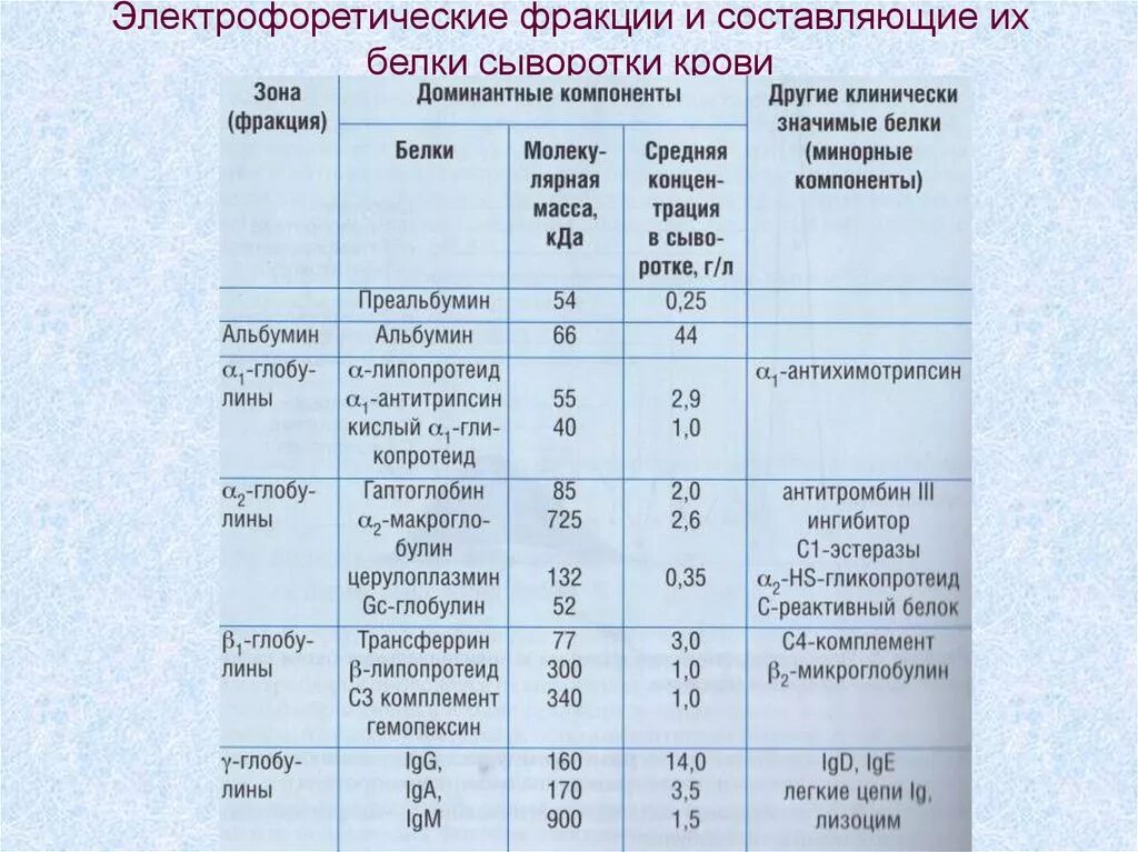 Фракции сыворотки крови. Белковые фракции сыворотки крови. Белки сыворотки крови. Нормы белковых фракций в сыворотке крови. Фракции общего белка крови