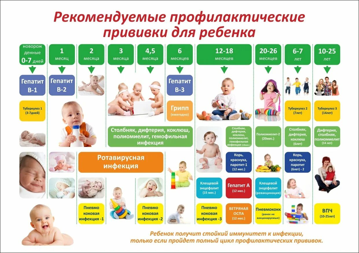 Календарь прививок с рождения в россии. Иммунизация календарь прививок. Календарь профилактических прививок до 1 года. Календарь прививок с вакцинами. Вакцинопрофилактика календарь прививок.