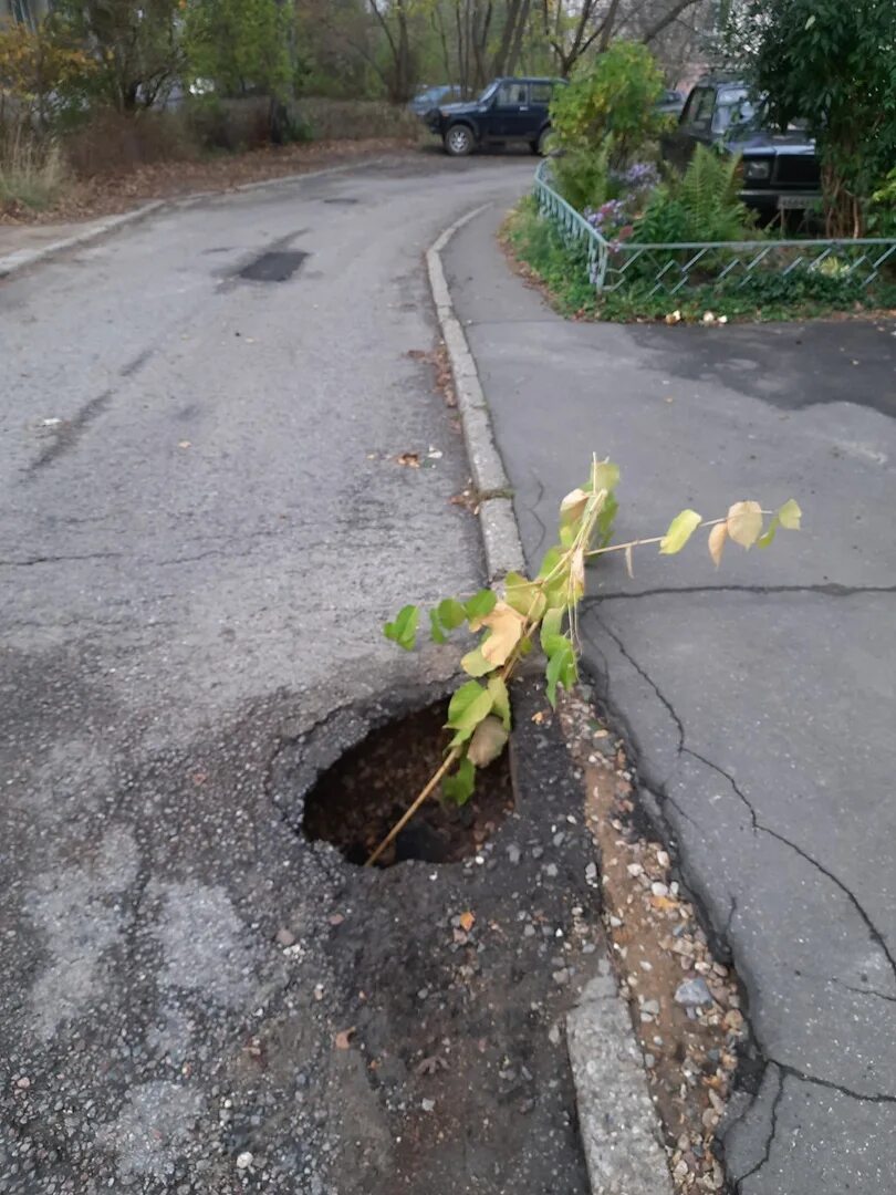 Чп дмитров в контакте подслушано. Дмитров детка ЧП.