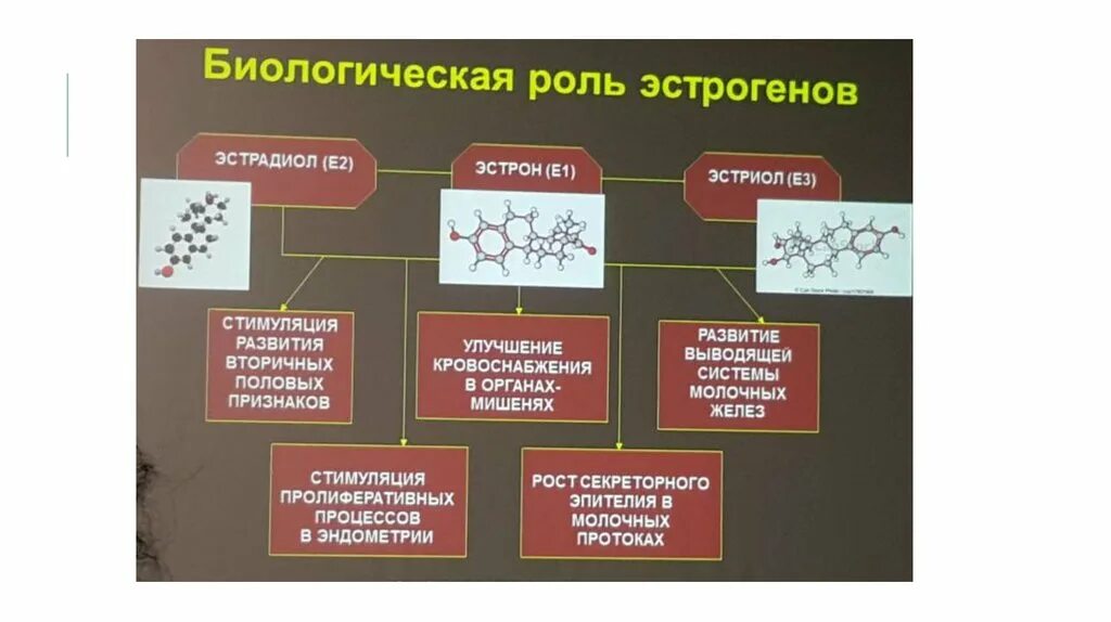 Эстрадиол это эстроген. Биологическая роль эстрогенов. Биологический эффект эстрадиола. Эстрадиол биологическая роль. Эстрон биологическая роль.