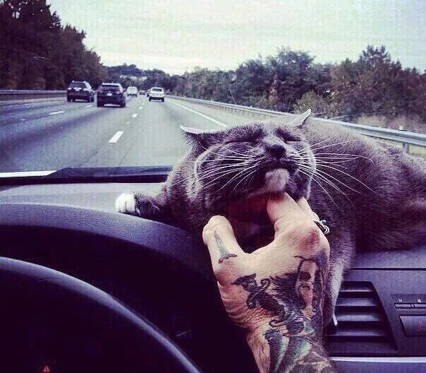 Самый лучший день сегодня. Социальная реклама. Картинка решай сегодня каким будешь завтра. Картинка решай сегодня каким будешь завтра. Что будет завтра цитаты.