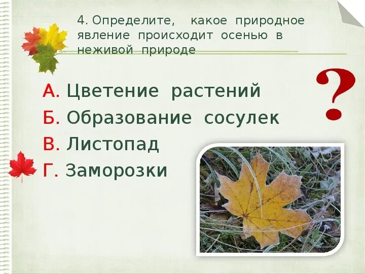 Задания по окружающему миру 2 класс на тему в гости к осени. В гости к осени проверочная работа. Признаки осени проверочная работа. Проверочное осенью.