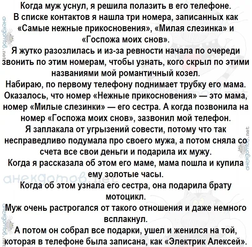 Когда муж уснул я решила полазить в его телефоне. Анекдот про электрика. Когда муж электрик. Госпожа моих снов анекдот.