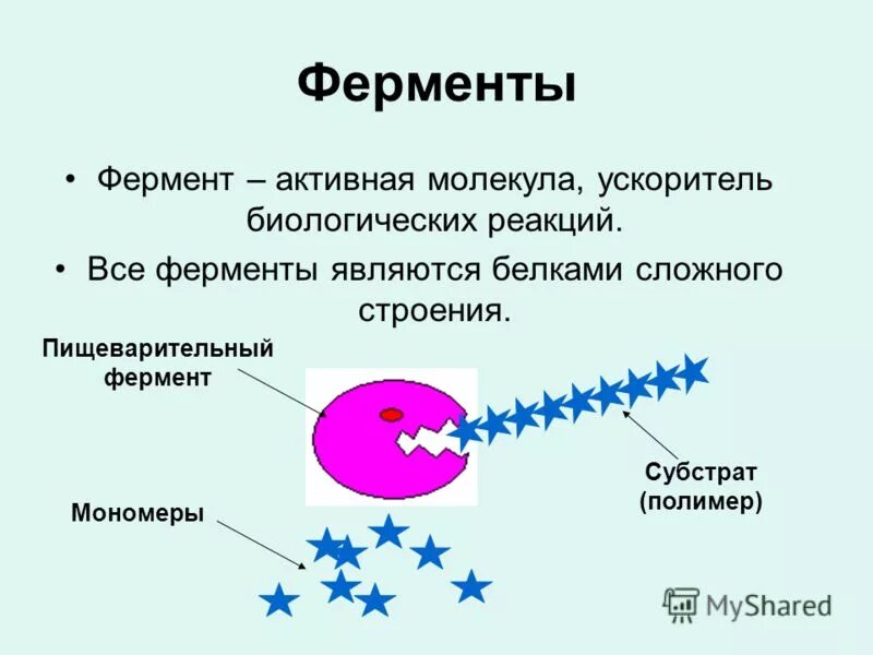 ферменты фон для презентации. ферменты полимеры. белок пермеаза. ферменты полимеры. иммобилизация ферментов.