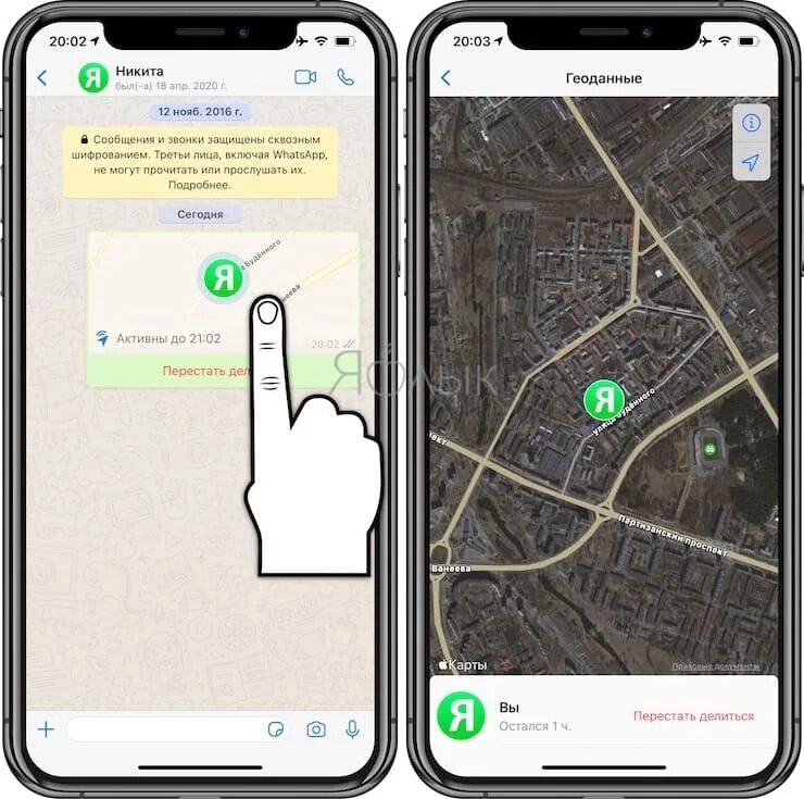 Поделиться геолокацией iphone. Поделиться геолокацией в ватсапе на айфоне. Как поделится гоелокацией. Местоположение геопозиция.