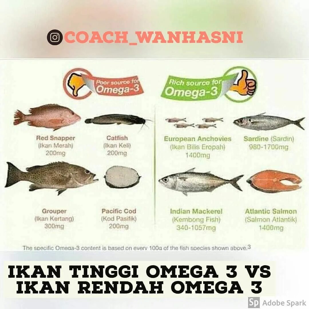 Рич Фиш. How many Fish или how much Fish. Семга содержит Омега-9?. В какой рыбе больше всего Омега 3.