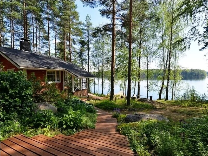 дом у реки дмитрия позаренко. домик в лесу у озера. дом у реки (river cottage) 1440х900. домик у реки. домик у речки.