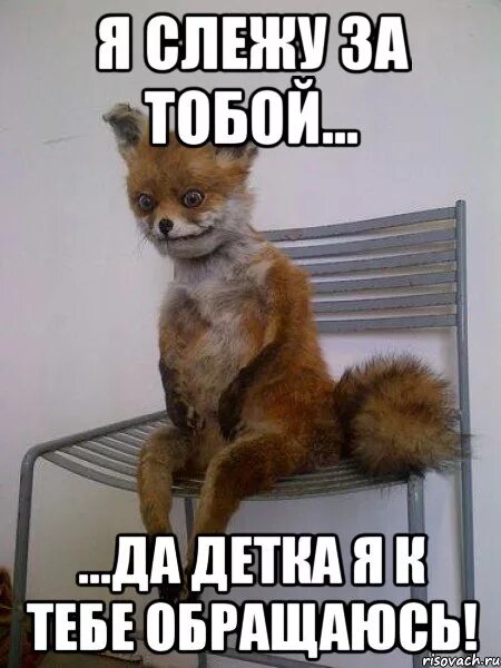 Слежу за тобой. Слежу за тобой