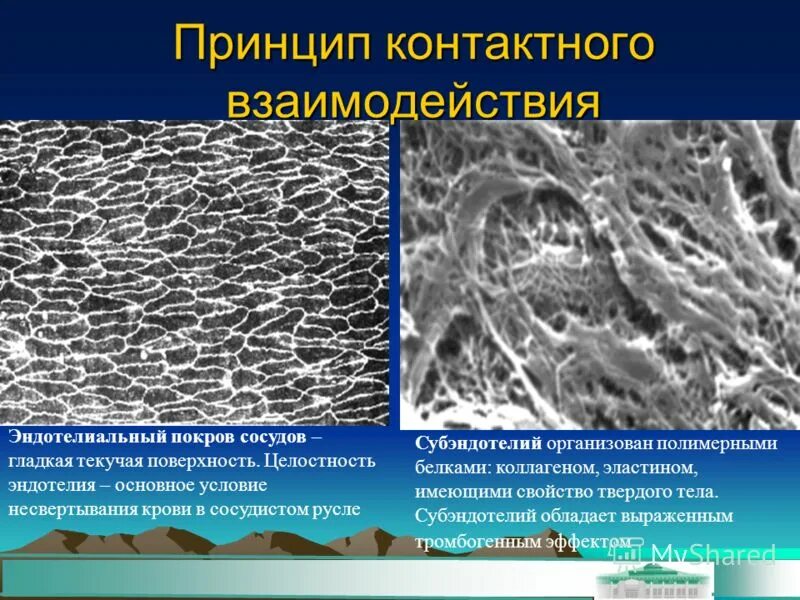 закономерности зрительного восприятия формы и пространства. отсутствие целостности в композиции. принципы контактного взаимодействия. исцеляющие медитации ливанда. квантовое поле сознания.