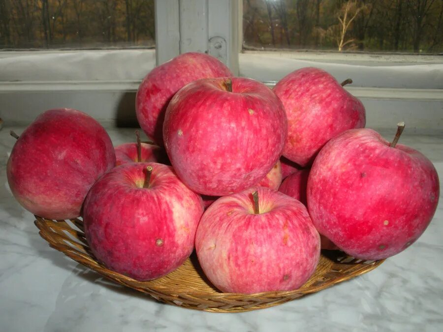 Самые ранние яблоки. Яблоня Мельба. Яблоня Мельба (летний сорт). Сорт яблок ред Мельба. Мельба яблоки мякоть.