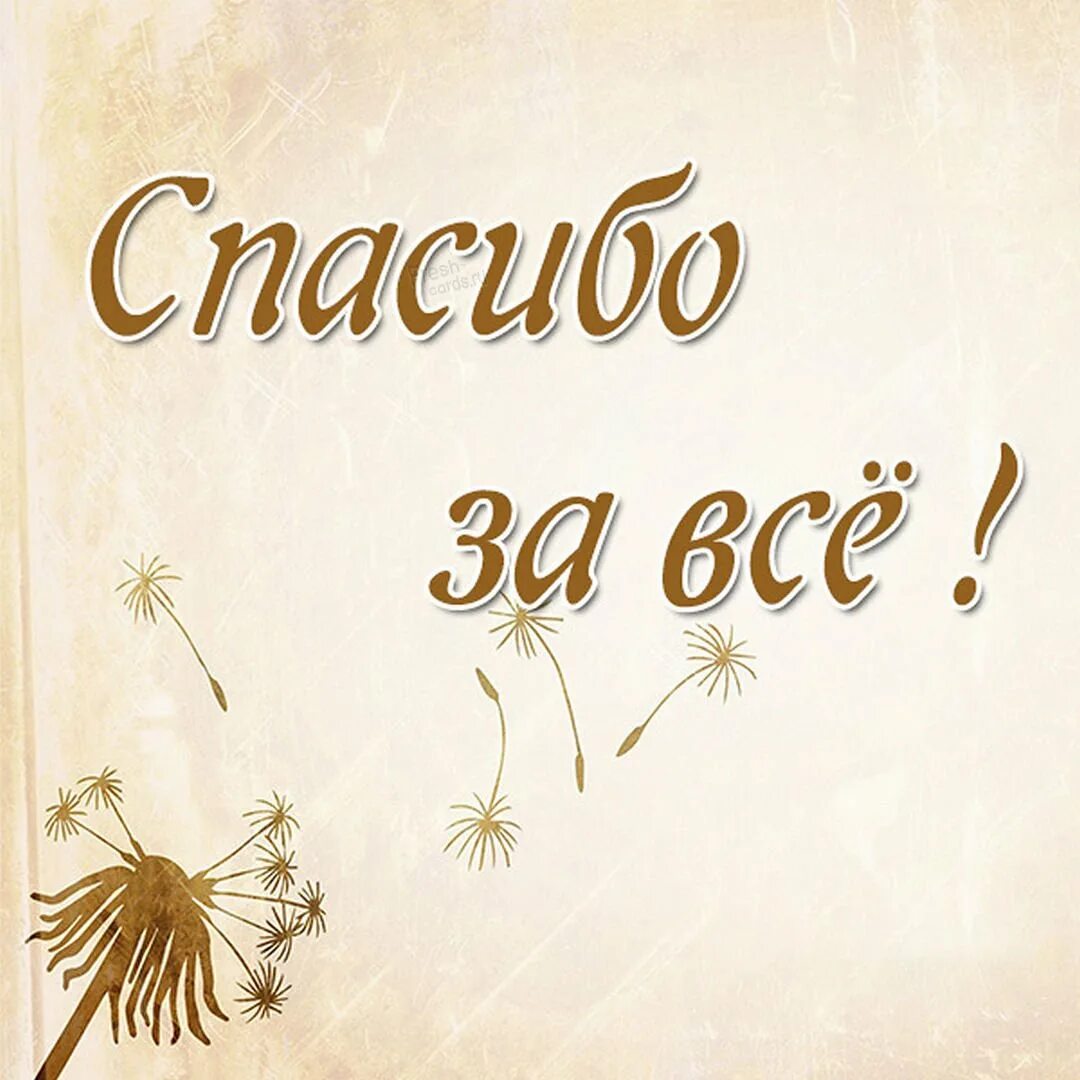 Спасибо провели. Спасибо за все. Spasibo za vsyo. Спасибо тебе за все. За все благодарите.