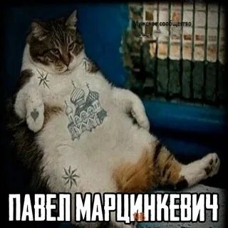 Вам на воле не понять