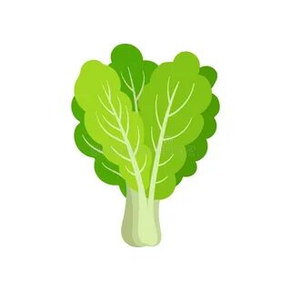 Leafy vegetables