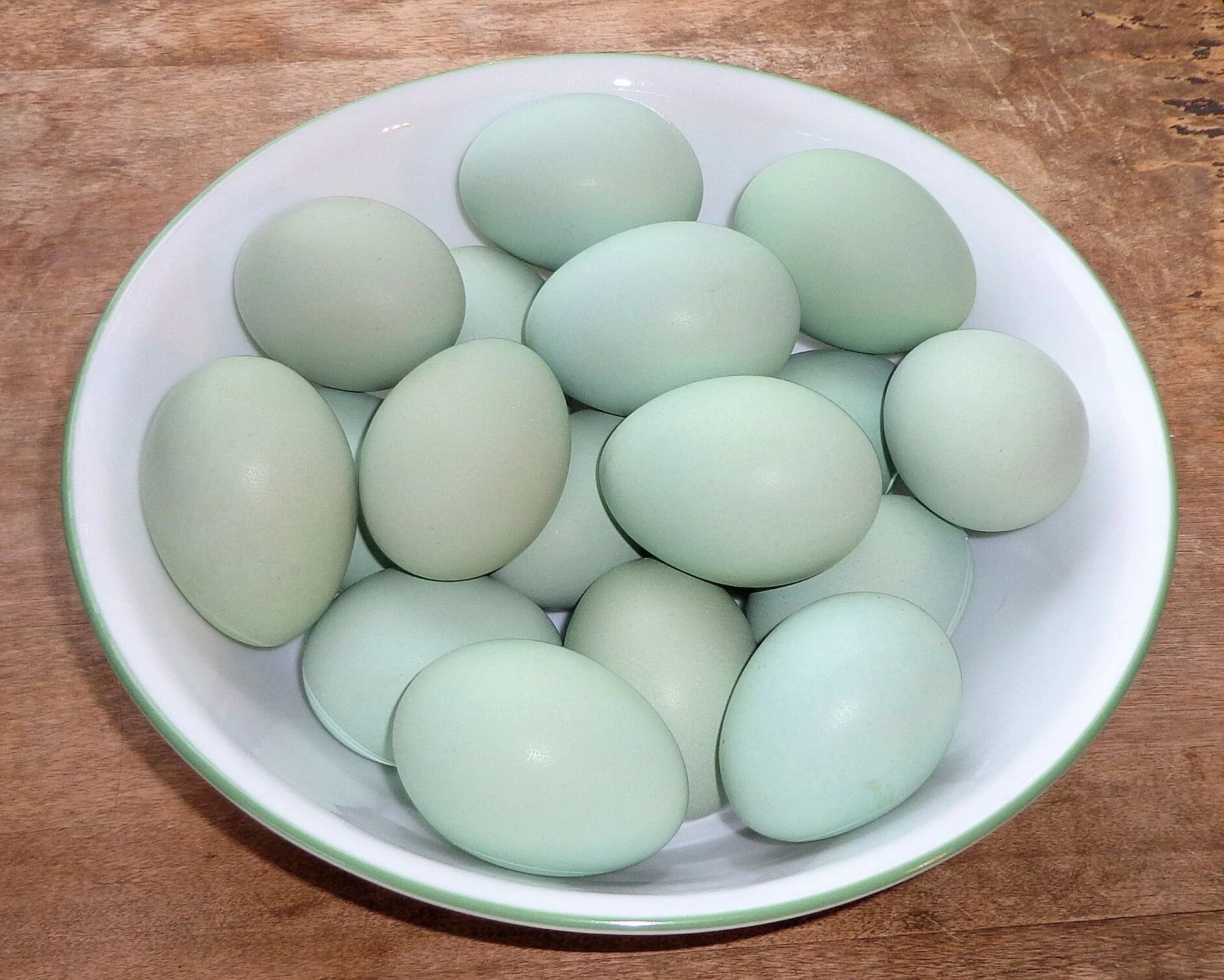 Куры несущие зеленые яйца фото и описание Beautiful Easter Eggs au naturale Araucana chickens, Easter eggs, Eggs