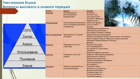 Уровни таксономии