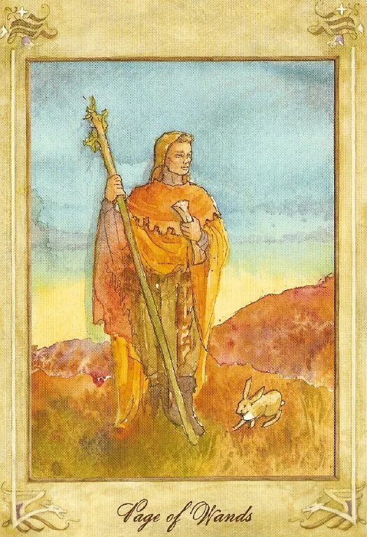 Паж жезлов таро значение карта дня. Llewellyn tarot (ллевелин таро). паж жезлов таро. таро паж скипетров. паж жезлов таро уэйта.